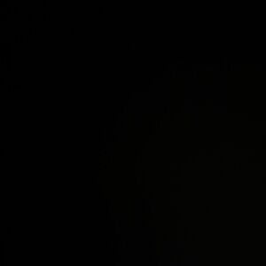 Meet your Posher, Victor